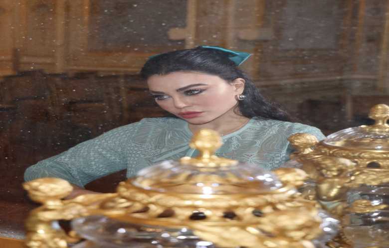 هيفاء وهبي مهددة بالمنع من التمثيل في مصر