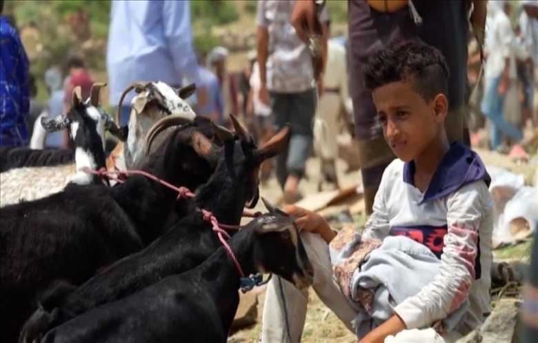 عيد بلا أضاحي في اليمن... أسعار تفوق دخل عام كامل