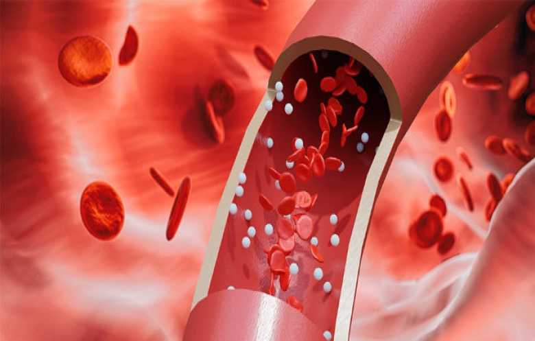 بحجم حبة رمل... روبوت يمكنه دخول مجرى الدم وإيصال الأدوية بدقة