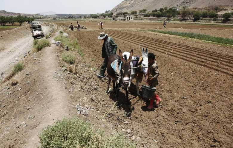 التصحر.. تحدٍّ جديد يواجه اقتصاد اليمن