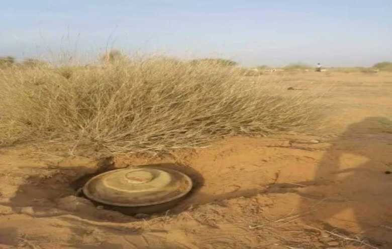 ألغام الحوثيين تحصد الثروة الحيوانية وتهدد الريف اليمني