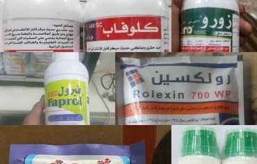 قادة الحوثيون ينتصرون لتجار المبيدات الزراعية المسرطنة