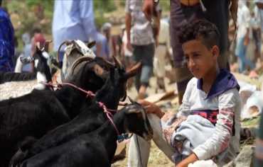 عيد بلا أضاحي في اليمن... أسعار تفوق دخل عام كامل