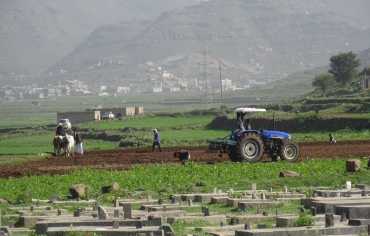 تقلّبات المناخ تُفاقم هشاشة الزراعة والغذاء في اليمن